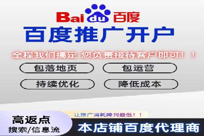 竞价SEM案例分享：行业霸主崛起之路